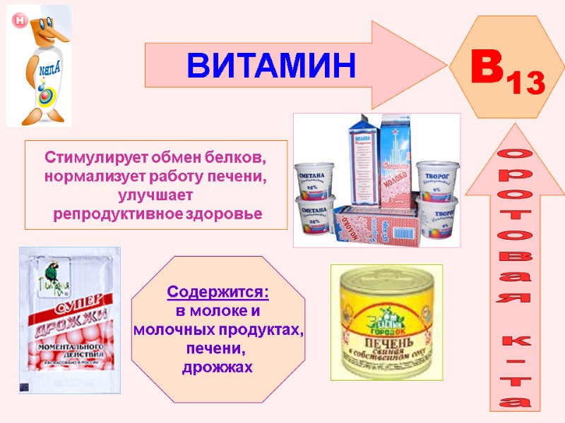 ВИТАМИН  B13 оротовая к-та   Стимулирует обмен белков,  нормализует работу печени,
